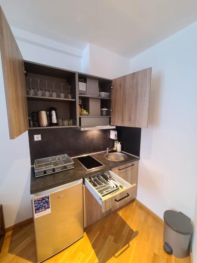 Apartament BELI VUK - Brzeće, Kopaonik Zewnętrze zdjęcie